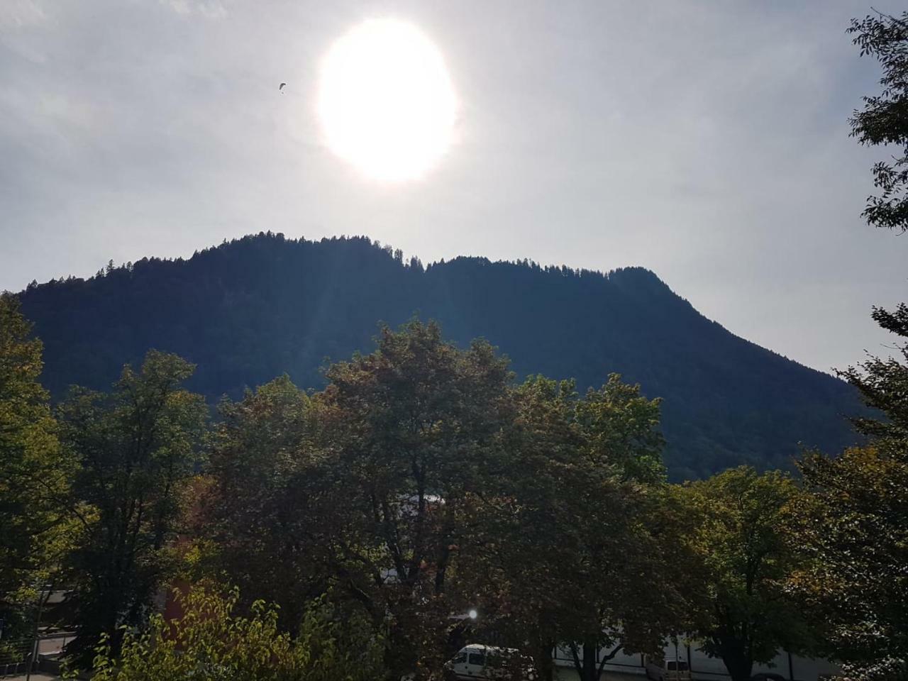 Fewo "Im Staedt'Le" Immenstadt Daire Immenstadt im Allgäu Dış mekan fotoğraf